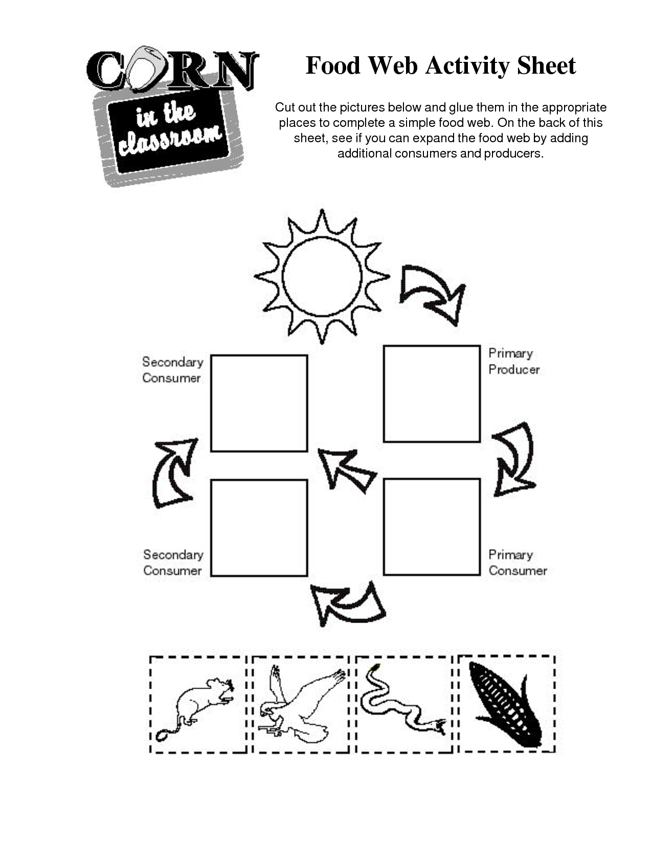 14 Best Images Of Simple Food Chain Worksheets - Food | Food Chain Printable Worksheets
