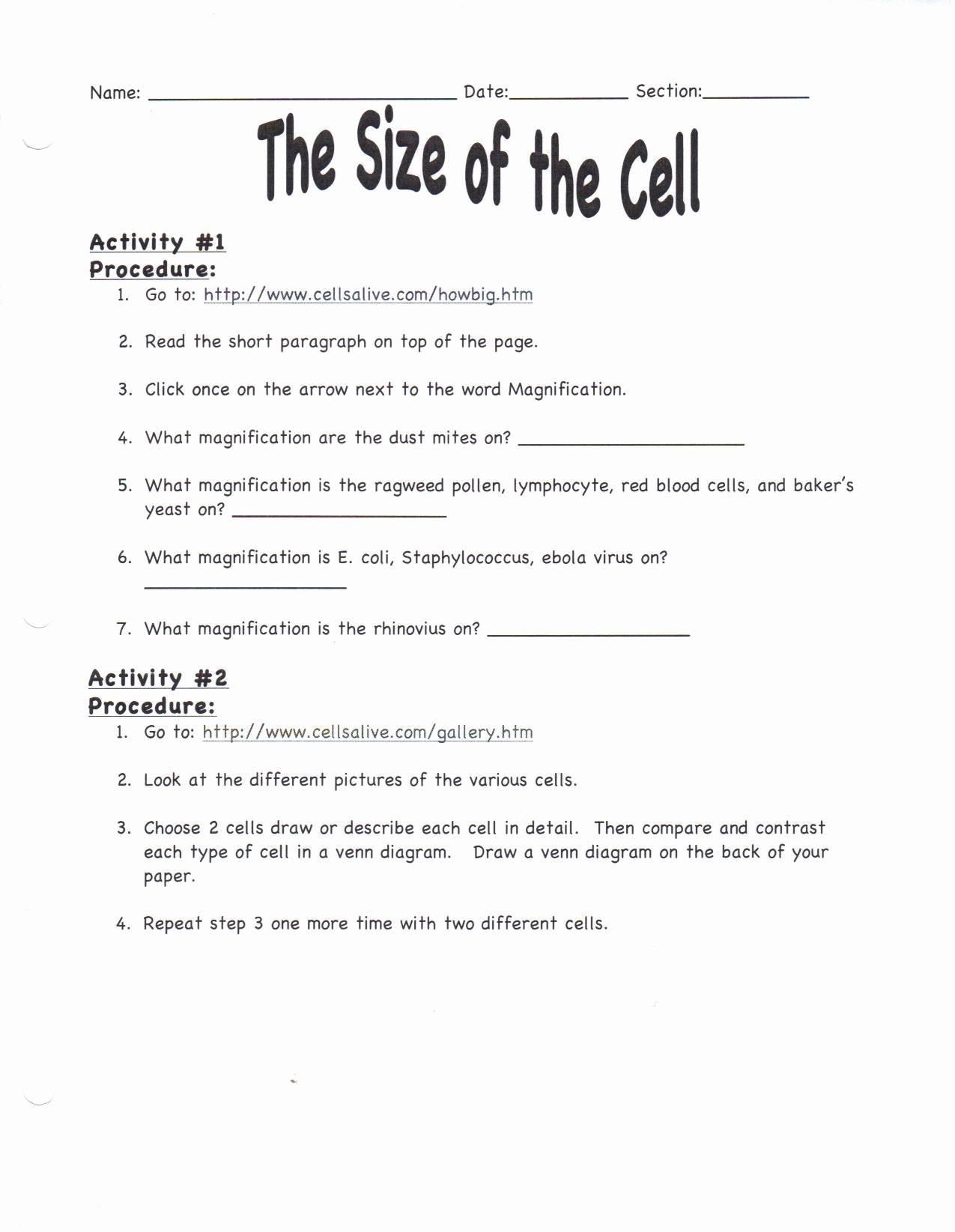 5Th Grade Science Worksheets Elegant 5Th Grade Scientific Method | 5Th Grade Science Printable Worksheets
