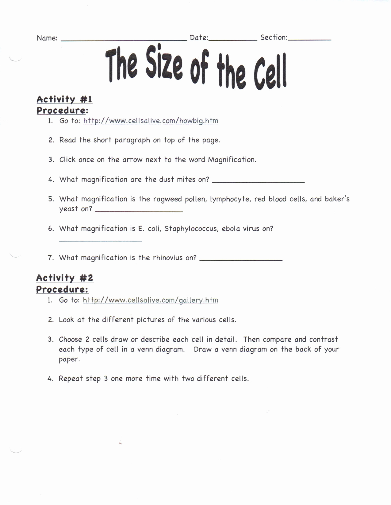 Free Printable Fifth Grade Science Worksheets Printable Worksheets 