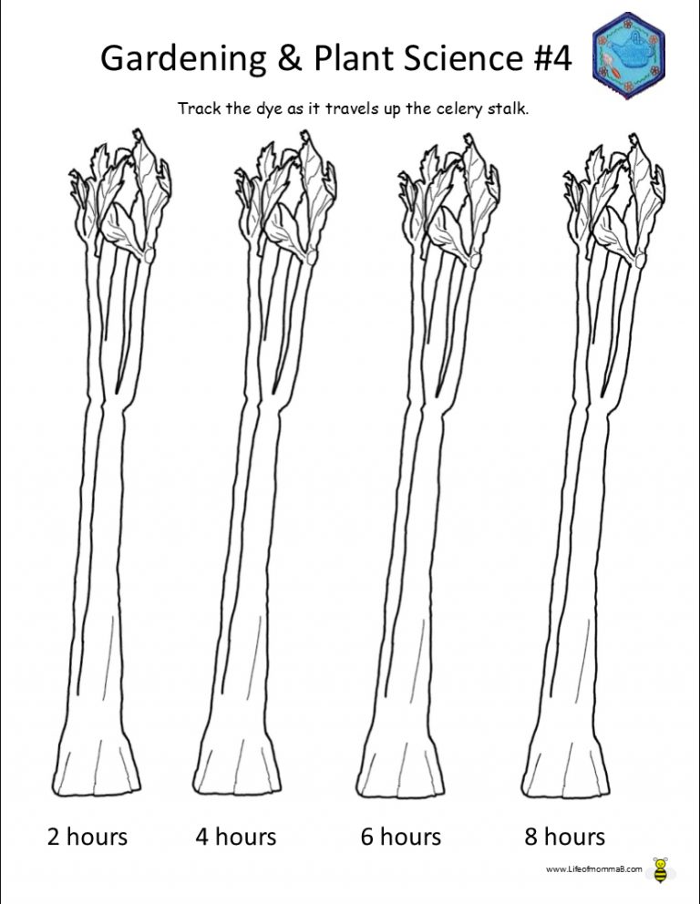 Ahg Badge Help Gardening And Plant Science 4 Celery Experiment