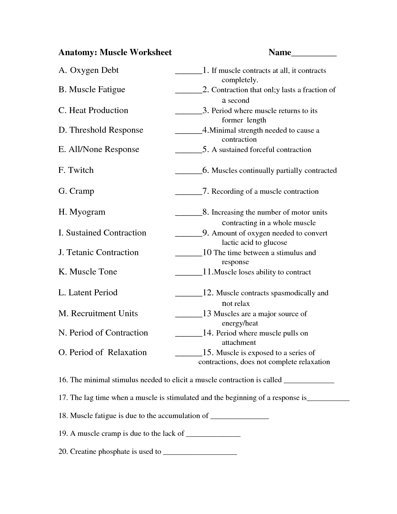 Anatomy And Physiology Muscle Worksheets | Body Muscles | Human | Anatomy And Physiology Printable Worksheets