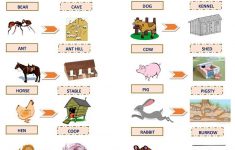 Animals And Their Homes Worksheet - Free Esl Printable Worksheets | Free Printable Worksheets Animal Adaptations