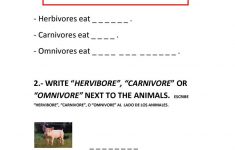 Animals Worksheet - Free Esl Printable Worksheets Madeteachers | Los Animales Printable Worksheets