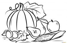 Autumn Harvest Coloring Page | Free Printable Coloring Pages | Colouring Worksheets Printable