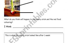 Celery Experiment Worksheet - Esl Worksheetkelleych | Celery Experiment Printable Worksheet