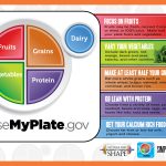 Choose My Plate Printable Worksheets 