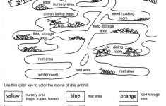 Cool Ant Worksheets - Google Search | Ants Unit | Ants In House | Ant Worksheets Printables