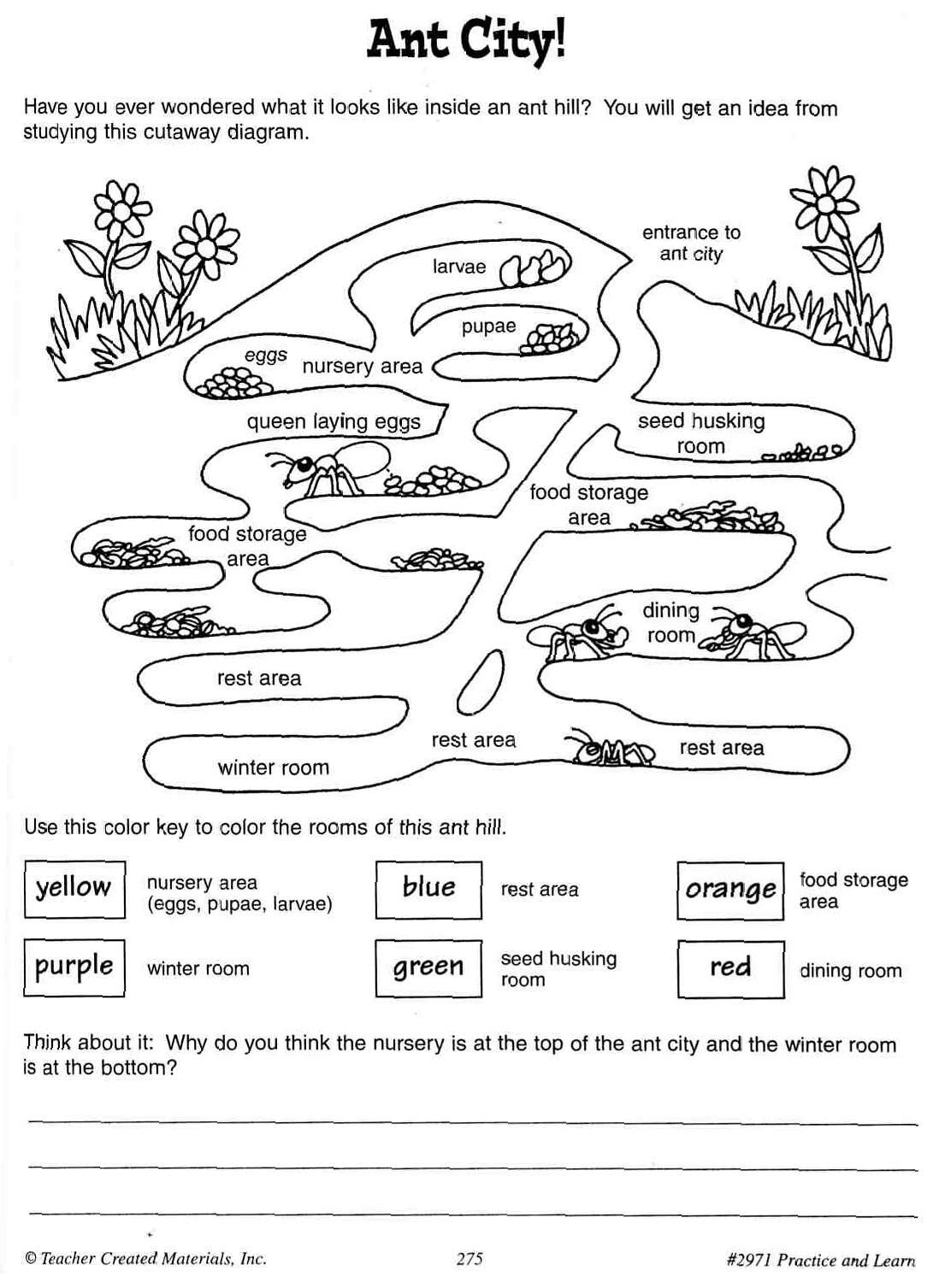 Pinalleyce Pang On Science Ants, Ant Insect, Insects Ant Worksheets