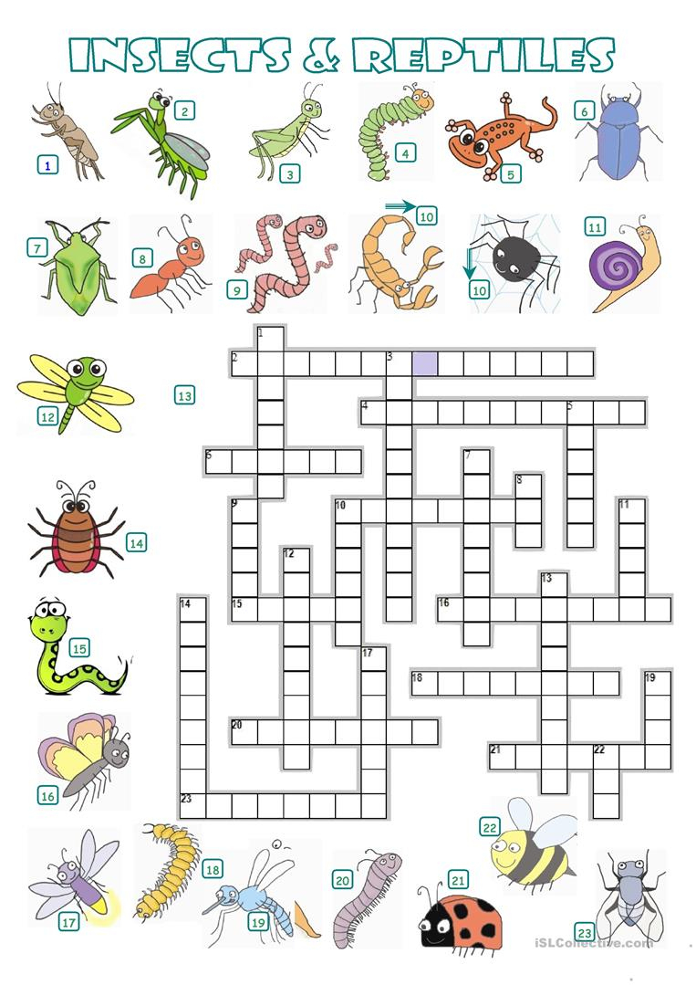 Crossword - Insects And Reptiles Worksheet - Free Esl Printable | Free Printable Reptile Worksheets