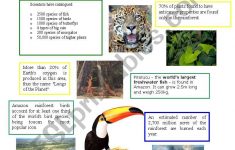 Facts About Amazon Rainforest - Esl Worksheetathos466 | Rainforest Printable Worksheets