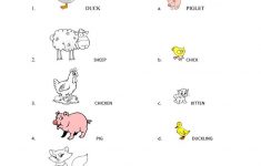 Farm Animals And Their Babies Worksheet - Free Esl Printable | Owl Babies Printable Worksheets