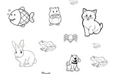 Find, Colour And Count Pets Worksheet - Free Esl Printable | Pets Worksheets Printables