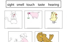 Five Senses Worksheet For Kids - Free Kindergarten Learning Worksheet | Science Worksheets For Kindergarten Free Printable