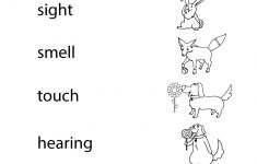Five Senses Worksheet - Free Kindergarten Learning Worksheet For | Free Printable Worksheets Kindergarten Five Senses