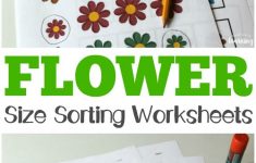 Flower Size Sorting Printables For Kids! | Matching And Sorting | Big And Small Ideas Printable Worksheets