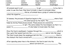 Food Digestion Worksheets | Digestive_System_Worksheets - Free | Free Printable Biology Worksheets For High School
