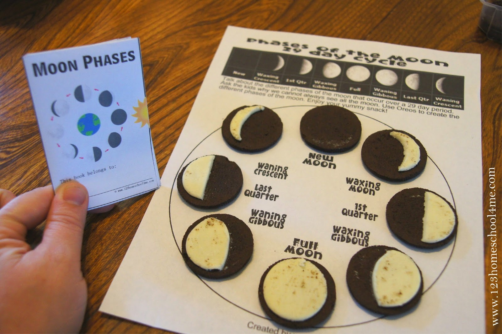 Free Moon Phases Mini-Book (Instant Download) | Phases Of The Moon Printable Worksheets