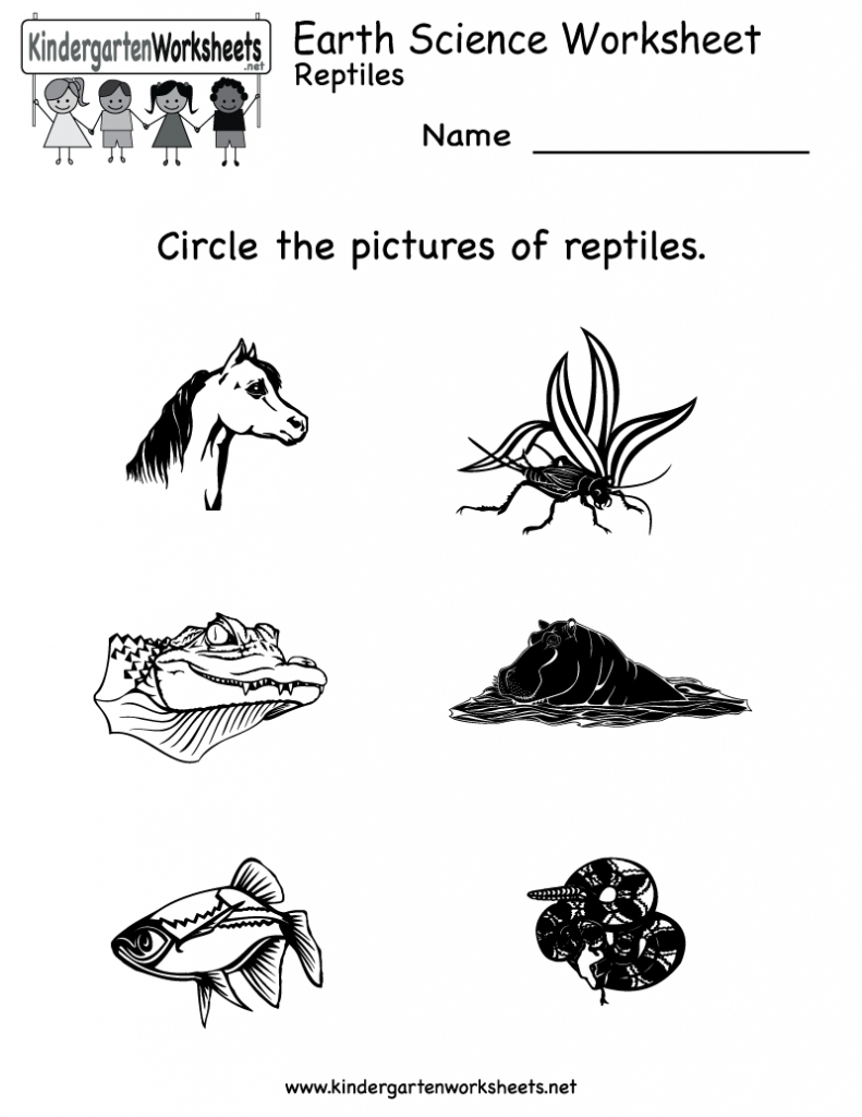 Free Printable Science Worksheets For Kindergarten To Free - Math | Free Printable Reptile Worksheets