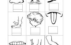 Free Printable Toddler Worksheets – With Preschool Curriculum Also | Free Printable Worksheets Kindergarten Body Parts