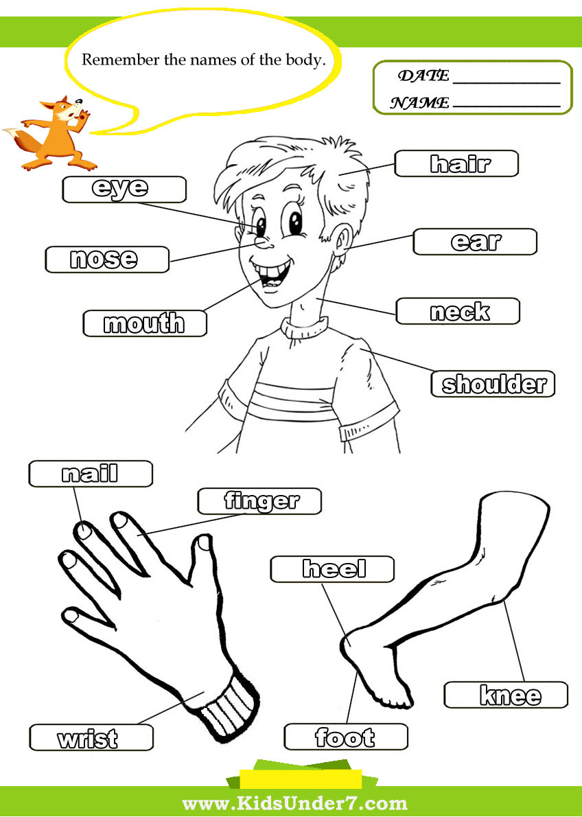 Free Printable Worksheets Preschool Body Parts - Lexia's Blog