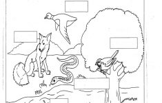 Free Science Worksheets Animal - Printable Worksheet | Printable Science Worksheets