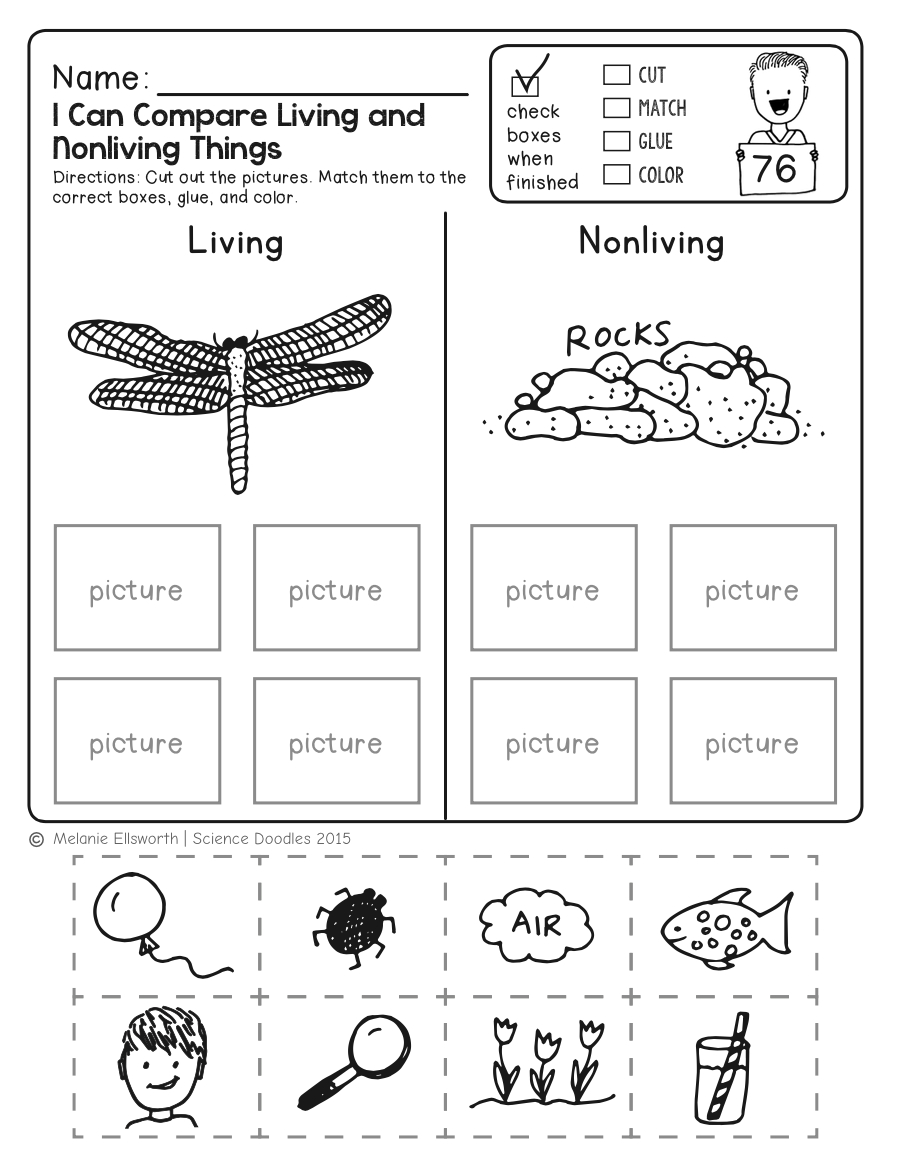 Freebie! No-Prep Kindergarten Science Doodle Printables | T E A C H | Free Printable Worksheets For Kids Science