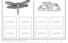 Freebie! No-Prep Kindergarten Science Doodle Printables | T E A C H | Kindergarten Science Worksheets Printable