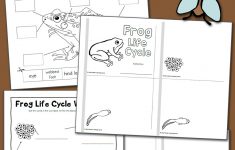 Frog Life Cycle Worksheets - Mamas Learning Corner | Life Cycle Of A Frog Free Printable Worksheets