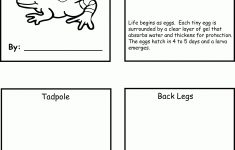 Frog Lifecycle | Life Cycles | Life Cycles, Science Education, Grade | Life Cycle Of A Frog Free Printable Worksheets