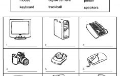 Grade 1 Worksheets For Children Learning Exercise | Summmer Vacation | Parts Of The Computer Worksheet Printable