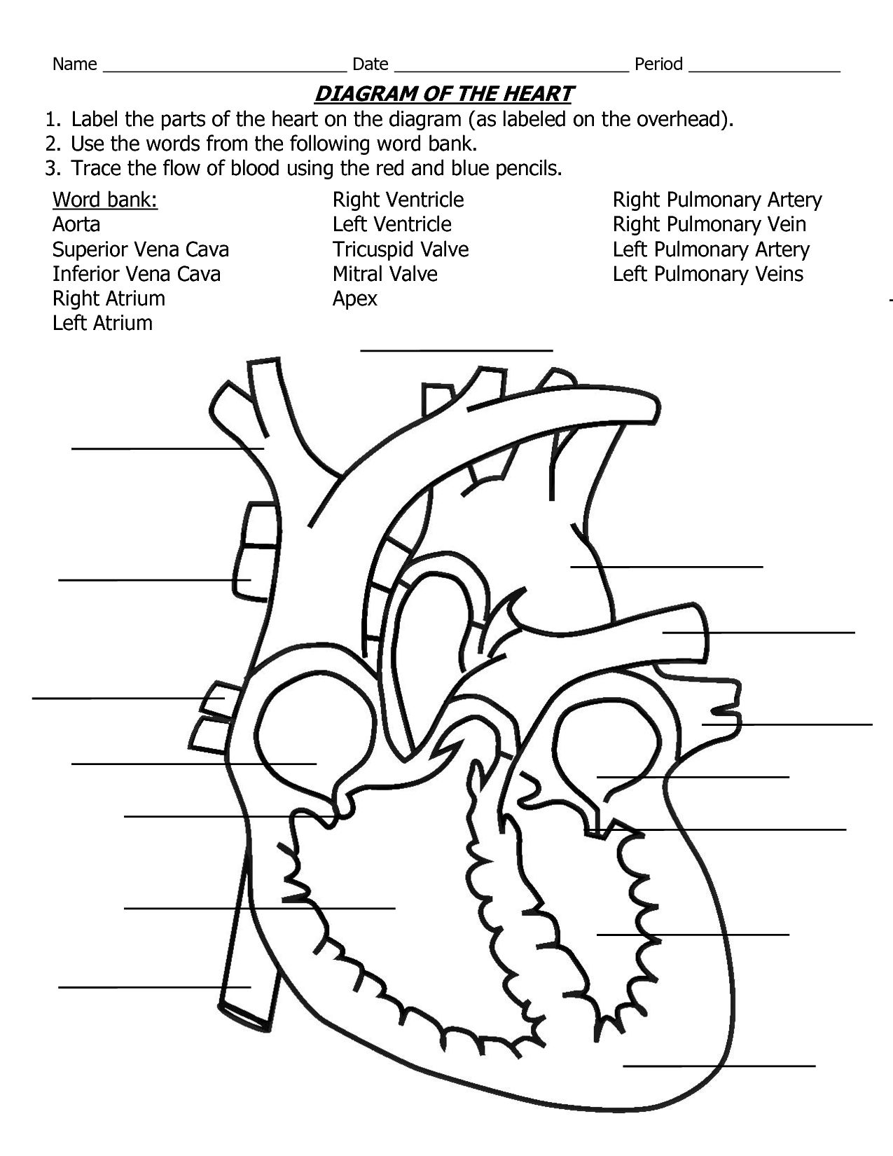 Heart Diagram To Label Printable - Koran.sticken.co | Heart Diagram Printable Worksheet