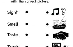 Homework For Kindergarten Printable – With Basic Math Worksheets | Free Printable Worksheets Kindergarten Five Senses