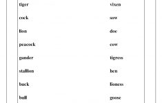Kidz Worksheets: Gender Nouns Worksheet1 | Free Printable Worksheets On Genders