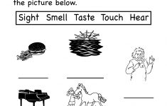 Kindergarten Five Senses Worksheet For Kids Printable | Worksheets | Free Printable Worksheets Kindergarten Five Senses