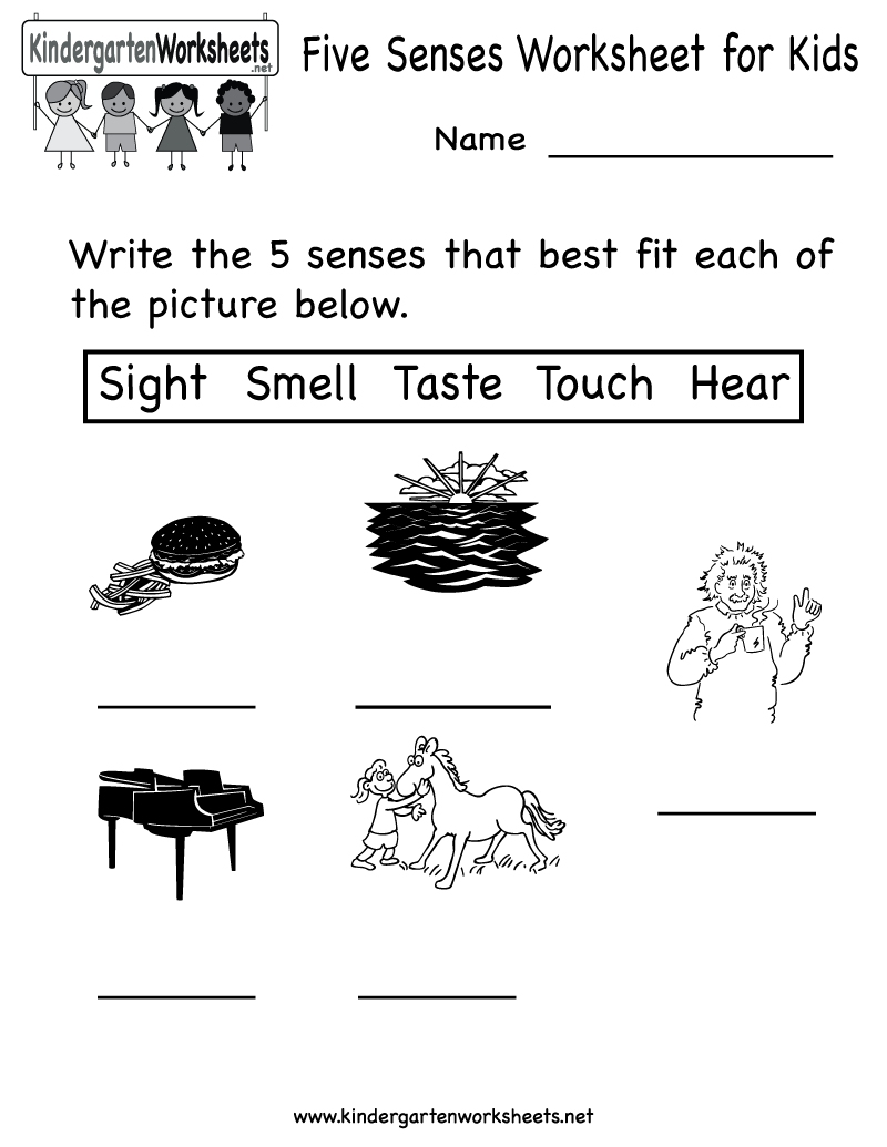  Free Printable Worksheets Kindergarten Five Senses Lexia s Blog