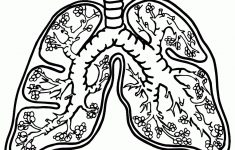 Lungs Clipart - Homeschool Clipart | Printable Worksheets On The Lungs