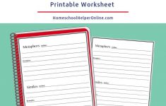 Metaphors &amp; Similes Worksheet - Homeschool Helper Online | Foreshadowing Worksheets Printable