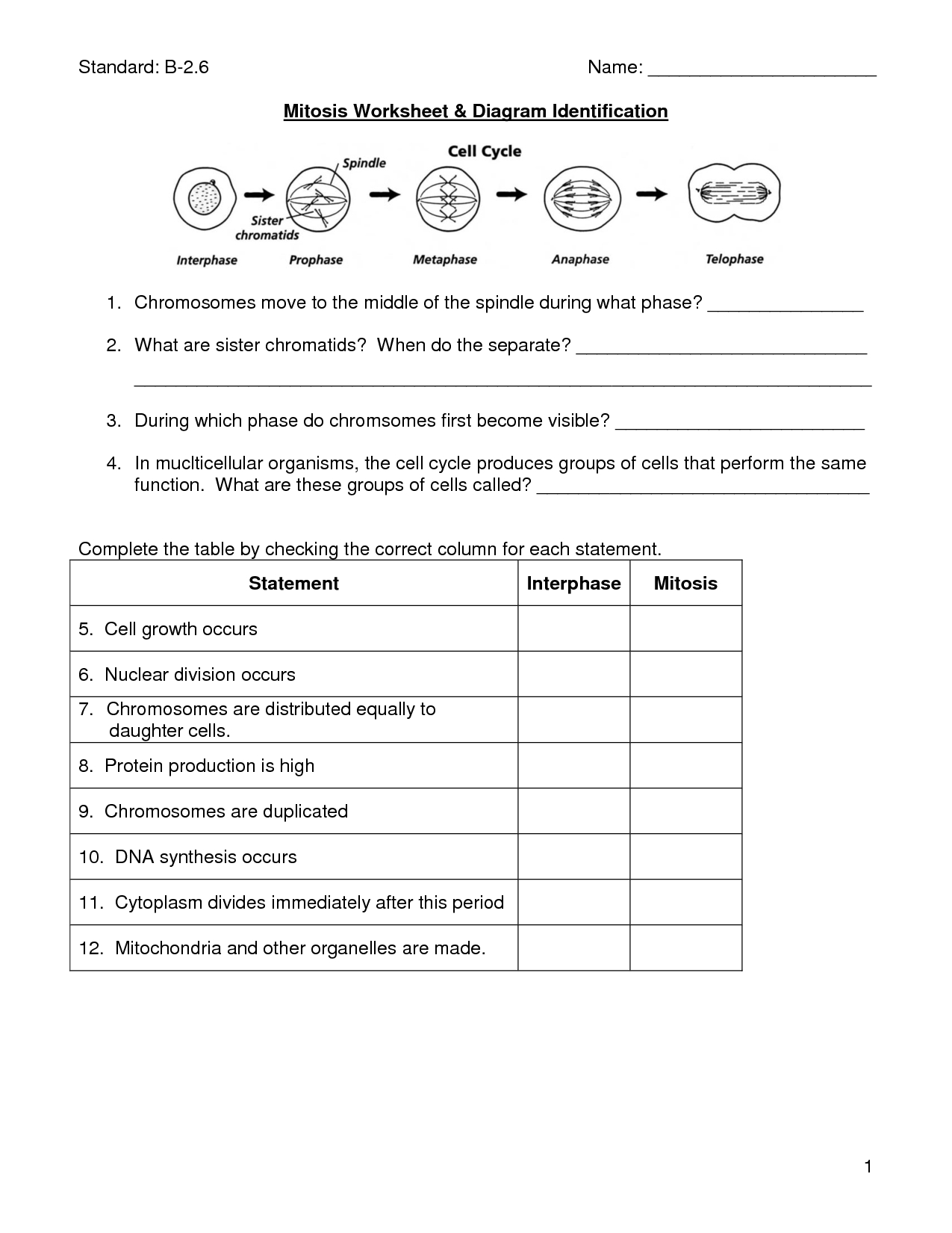 Mitosis Worksheet | Cells, Photosynthesis, Mitosis | Biology Lessons | Free Printable Biology Worksheets For High School