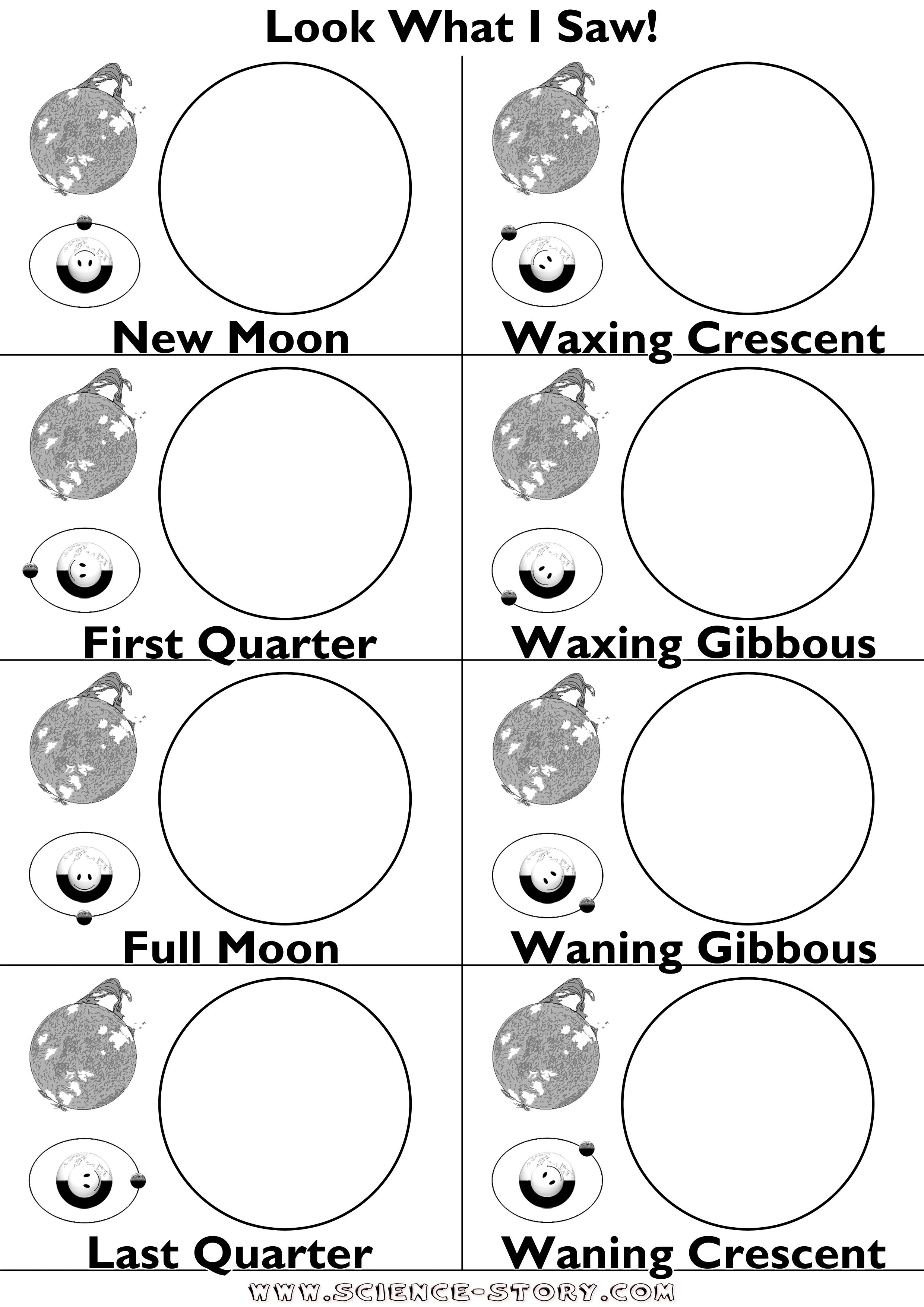 Moon Phases Worksheet - Google Search | Science Moon | Moon Phases | Phases Of The Moon Printable Worksheets