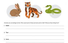 Mysci Unit 14 - Isp | Third Grade | Third Grade, Grade 1, Worksheets | Free Printable Worksheets Animal Adaptations