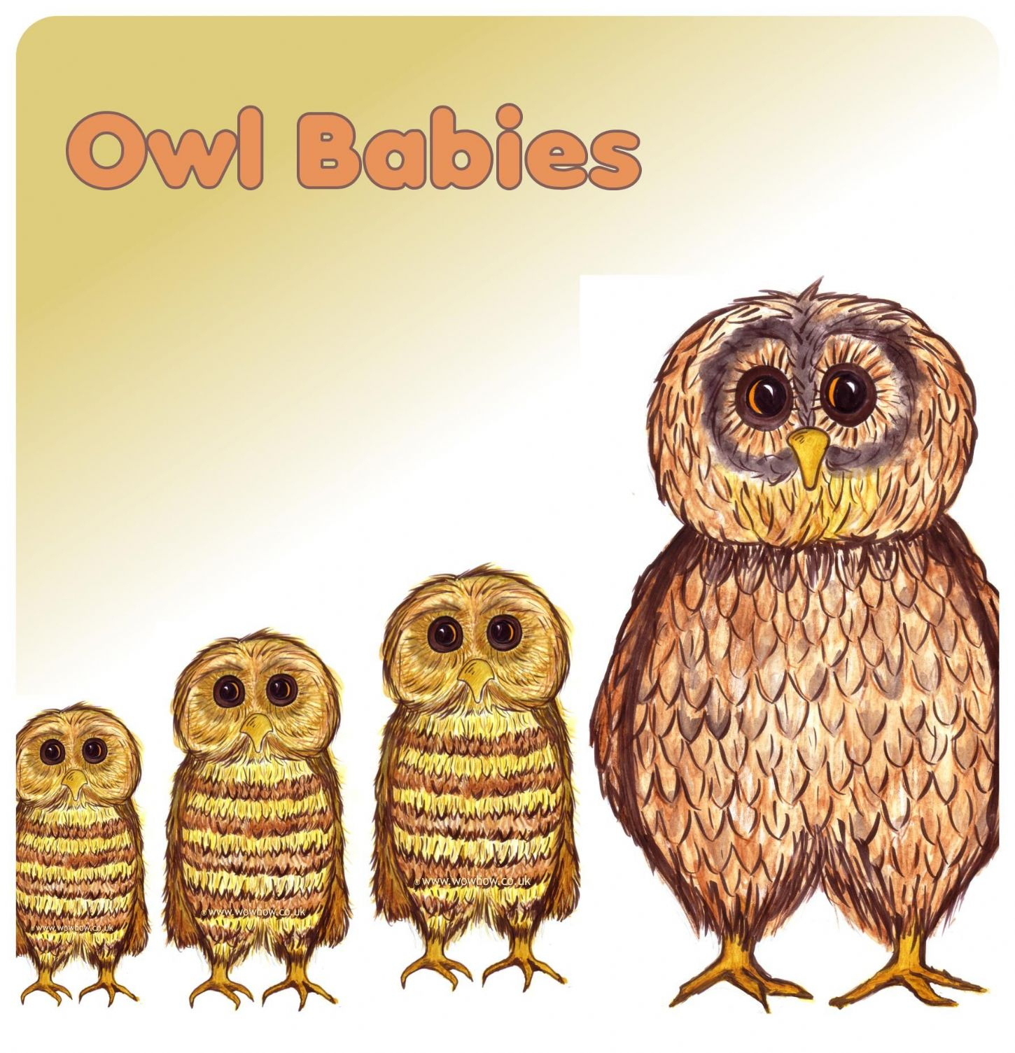Baby Owl Dot To Dot Printable Worksheet - Connect The Dots | Owl Babies ...