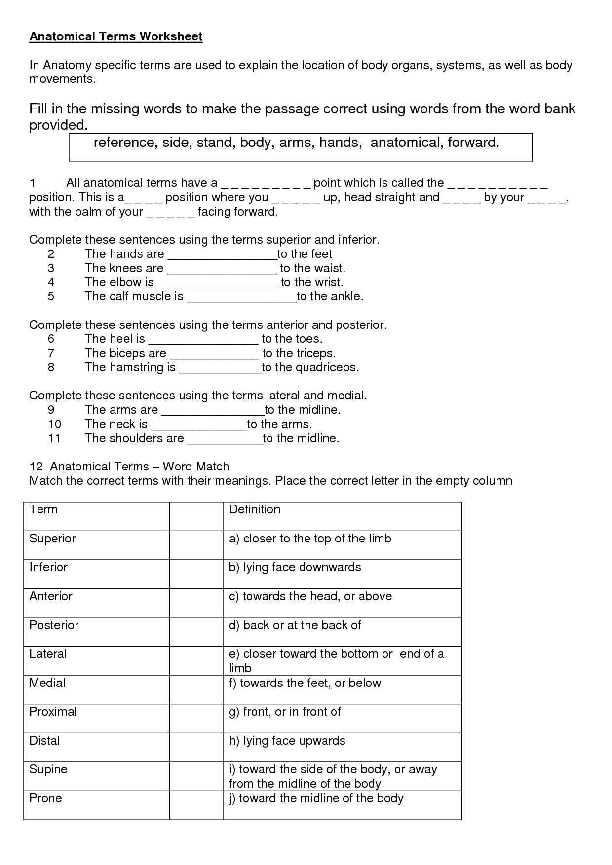 Papers Anatomy And Terminology Fa0Ae, Simple Anatomical Terms | Anatomy And Physiology Printable Worksheets