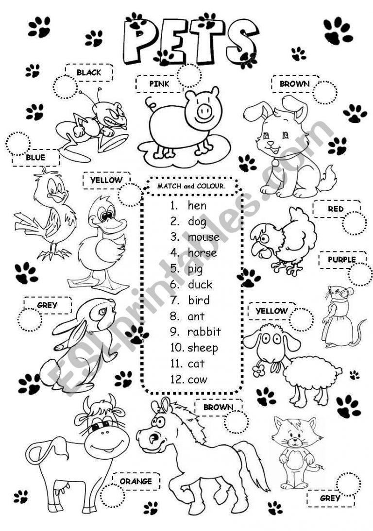 Pets - Esl Worksheetgabitza | Pets Worksheets Printables | Worksheets ...