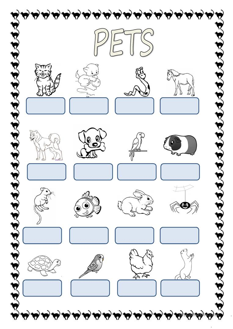 Find Colour And Count Pets Worksheet Free Esl Printable Pets 