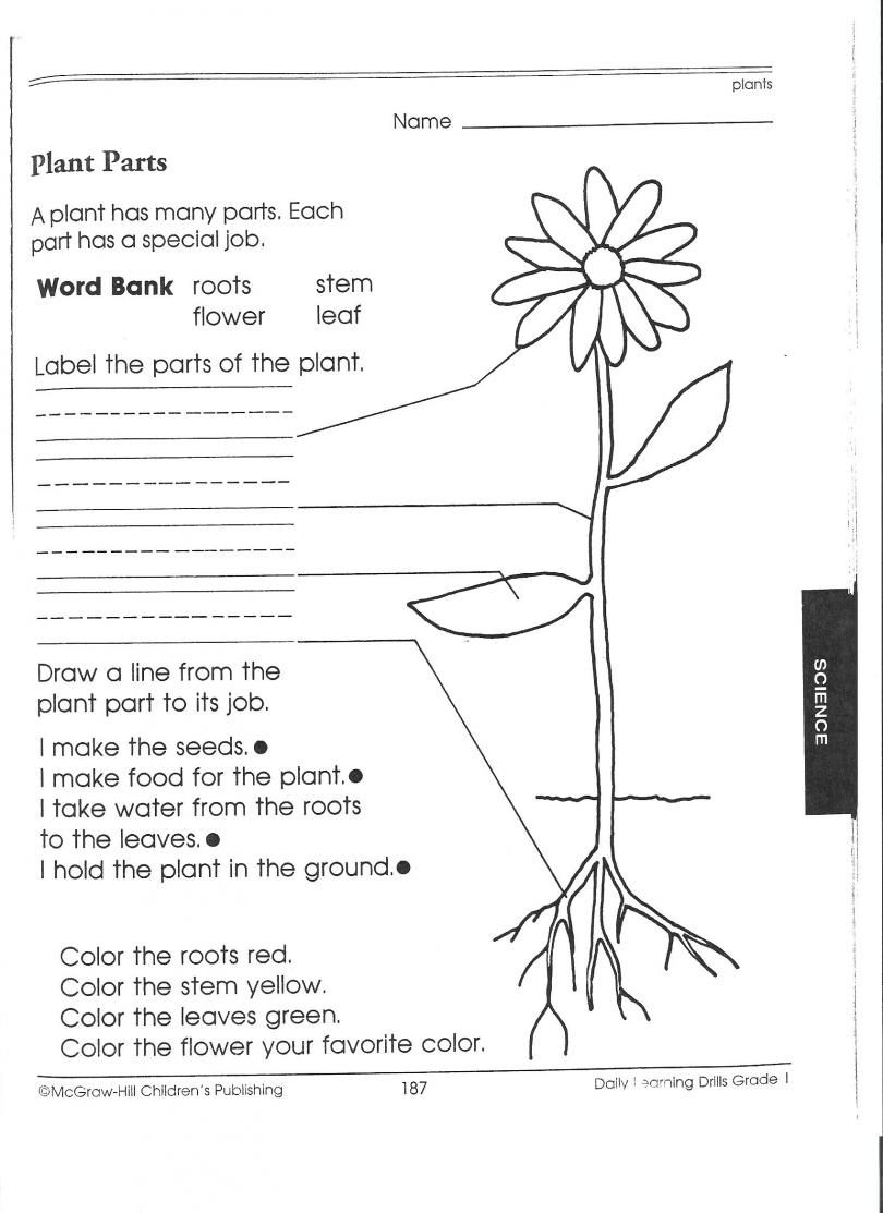 Fifth Grade Science Worksheets Free Printables