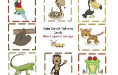 Preschool Printables: Rain Forest Animal Printable | Rain Forest | Rainforest Printable Worksheets