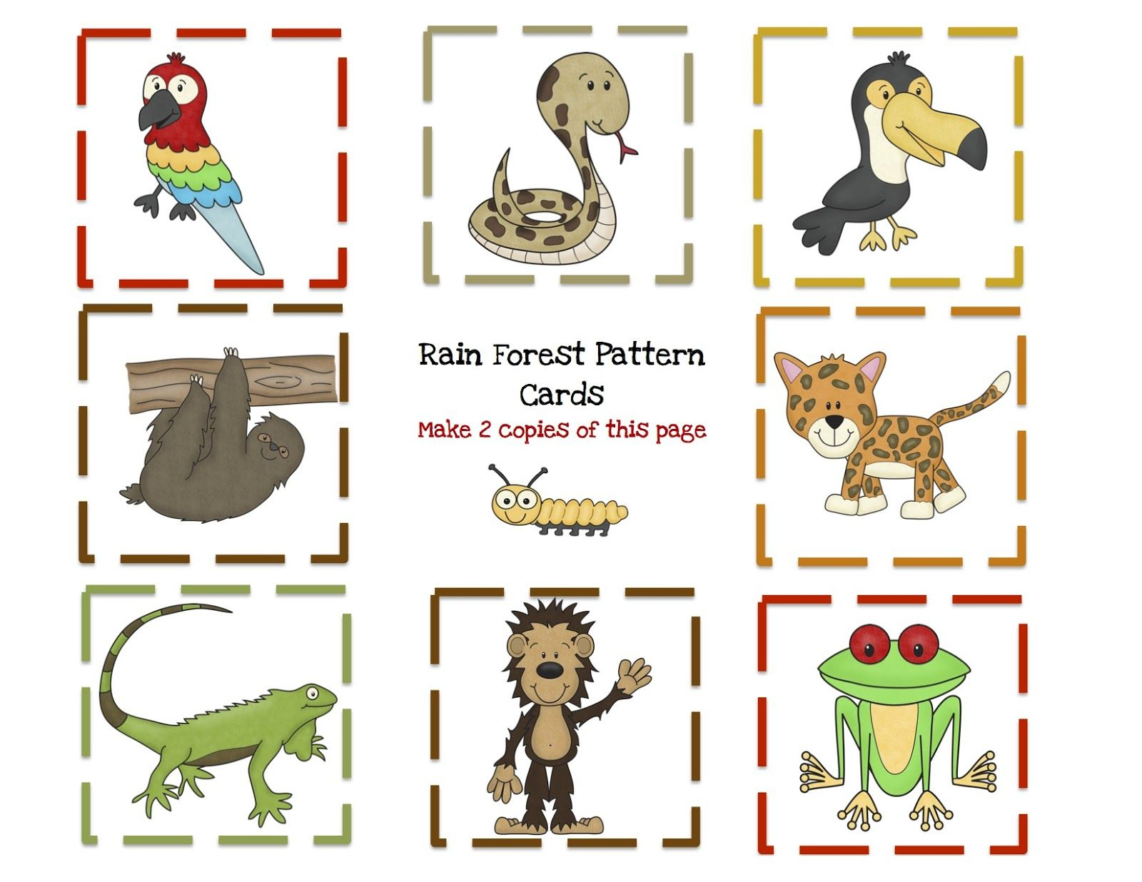 Preschool Printables: Rain Forest Animal Printable | Rain Forest | Rainforest Printable Worksheets