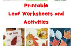 Printable Leaf Worksheets And Activities | Free Printable Leaf Worksheets
