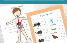 Printable Science Worksheets For Kids | Printable Science Worksheets