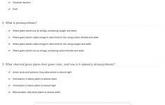 Quiz &amp; Worksheet - Photosynthesis In Plants | Study | Free Printable Photosynthesis Worksheets